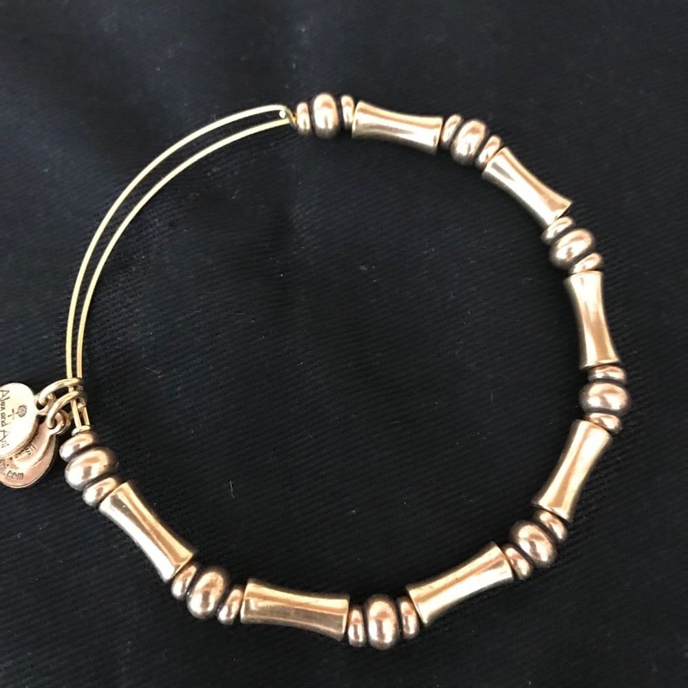 Alex and Ani silver bracelet